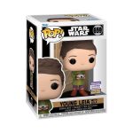 Funko Pop! Star Wars Young Leia with Lola Summer Convention 2023 #659 Box View